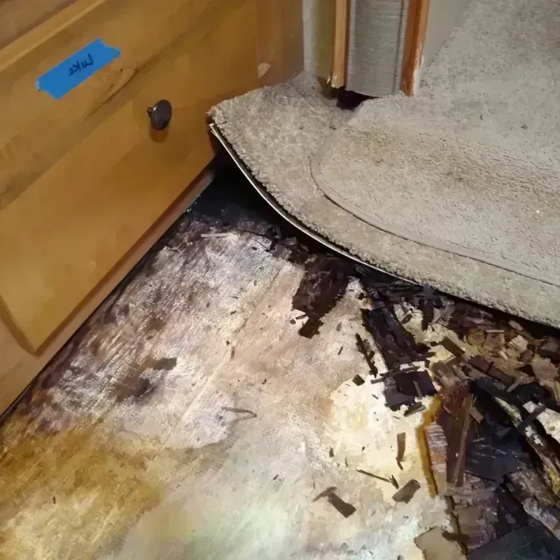 Wood Floor Water Damage in Wedgewood, SC